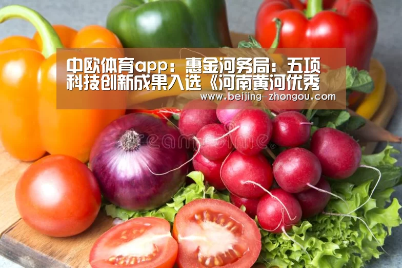 中欧体育app