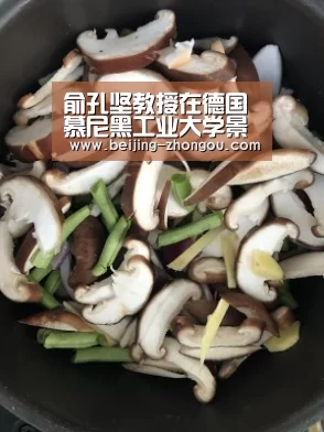 俞孔坚教授在德国慕尼黑工业大学景观设计与规划学院成立60周年庆典上发表演讲|中欧体育网页版入口(图1) 中欧体育网页版入口