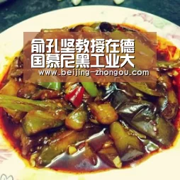 俞孔坚教授在德国慕尼黑工业大学景观设计与规划学院成立60周年庆典上发表演讲|中欧体育网页版入口(图2) 中欧体育网页版入口